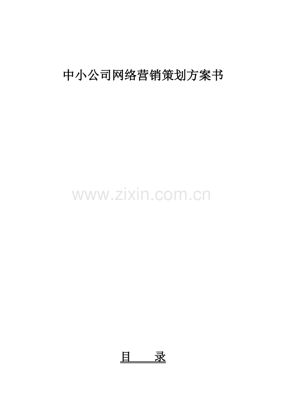 中小企业互联网应用全面解决方案样本.doc_第1页