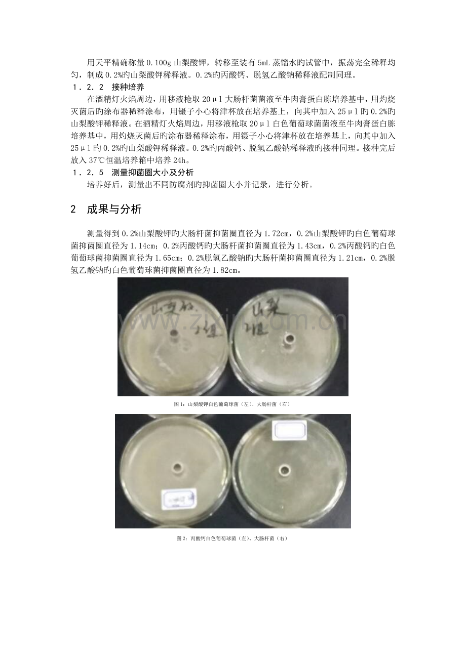三种防腐剂对大肠杆菌和白色葡萄球菌的抑制效果.docx_第2页