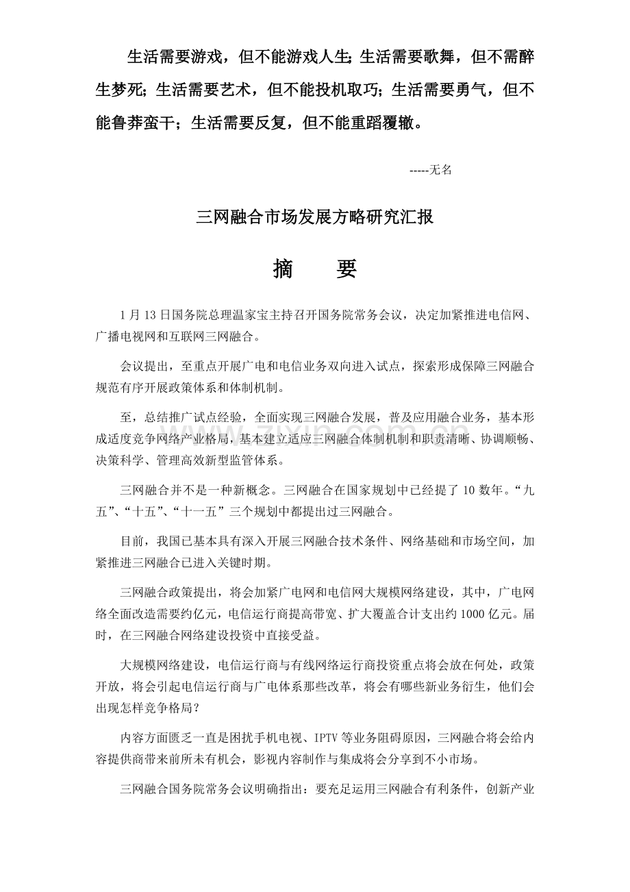 Czhtne三网融合市场发展策略研究报告.doc_第1页