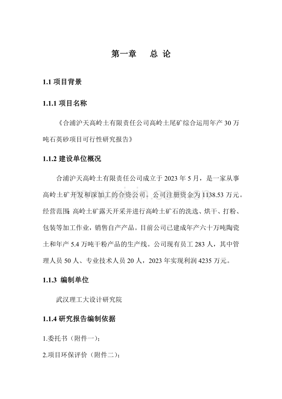 高岭土尾矿综合利用年产30万吨石英砂项目可行性研究报告.doc_第1页