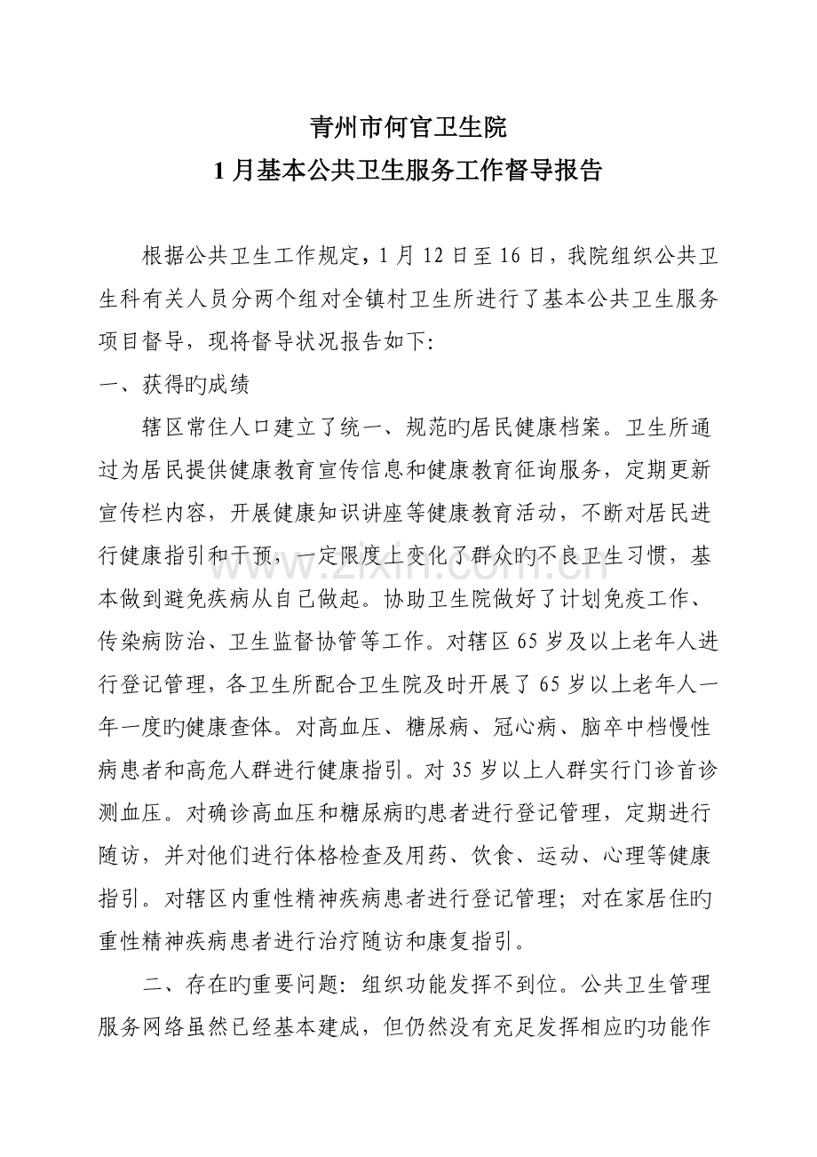 公共卫生服务督导报告.doc_第1页