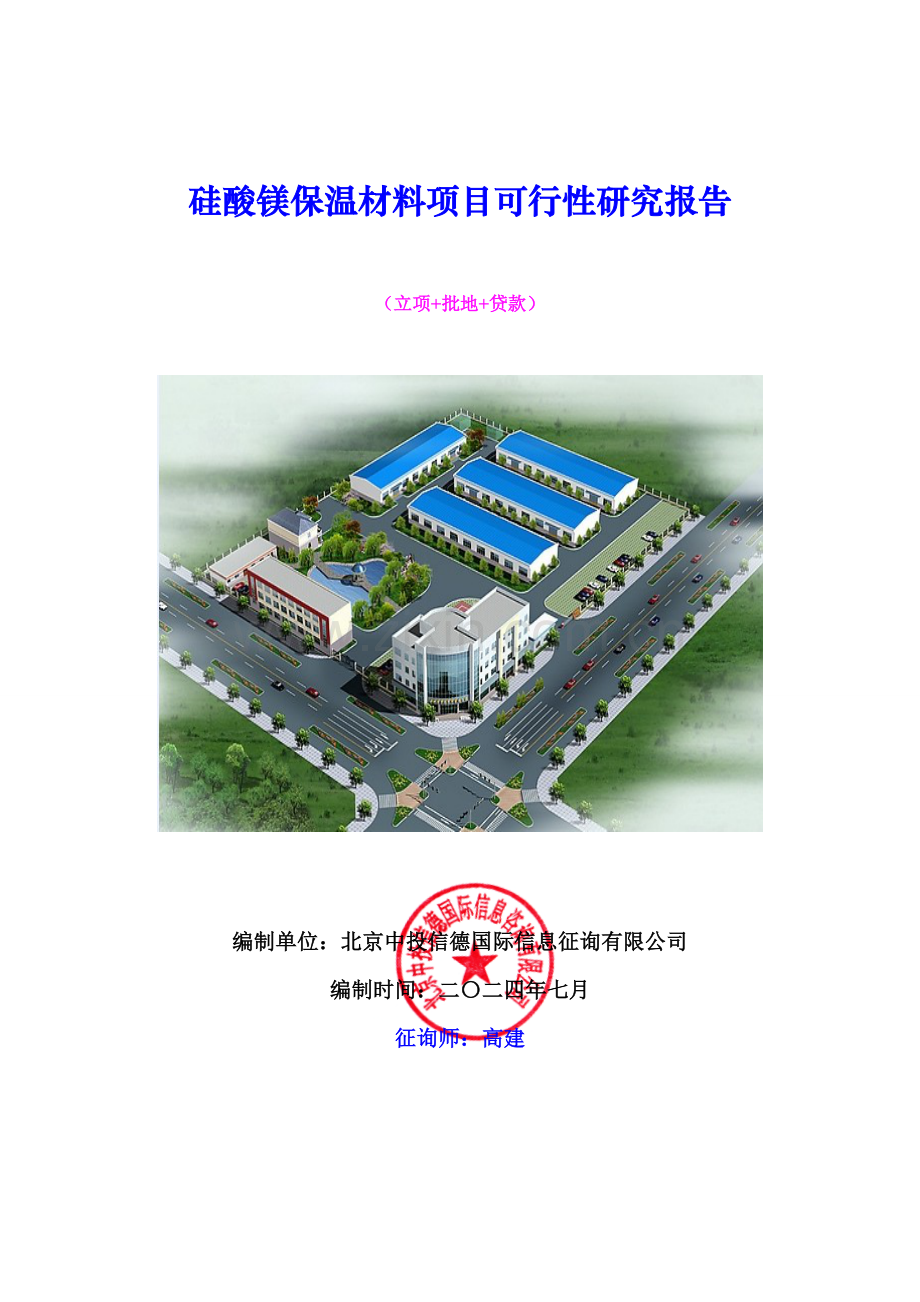 硅酸镁保温材料项目可行性研究报告.doc_第1页