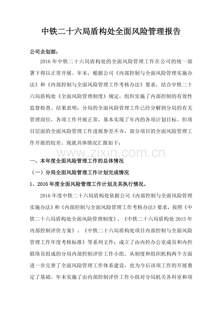 风险管理报告.doc_第1页