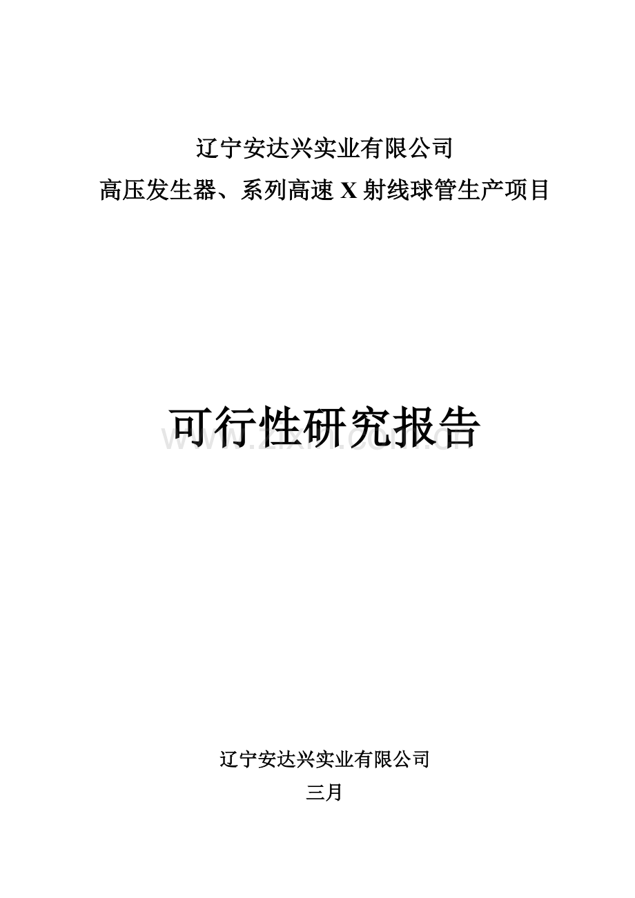 辽宁安达兴实业有限公司可行性研究报告.doc_第1页