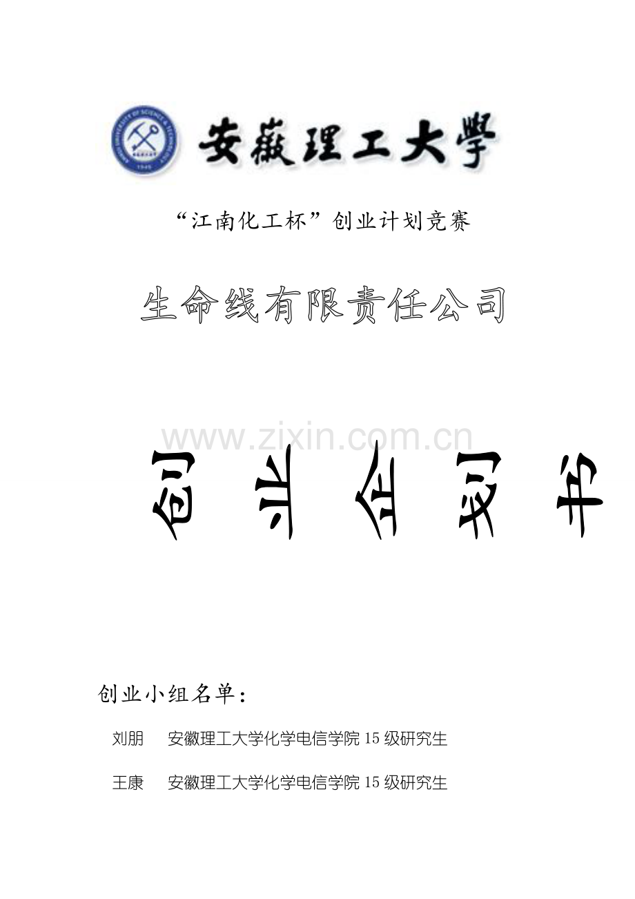 生命线有限责任公司企划书.docx_第1页
