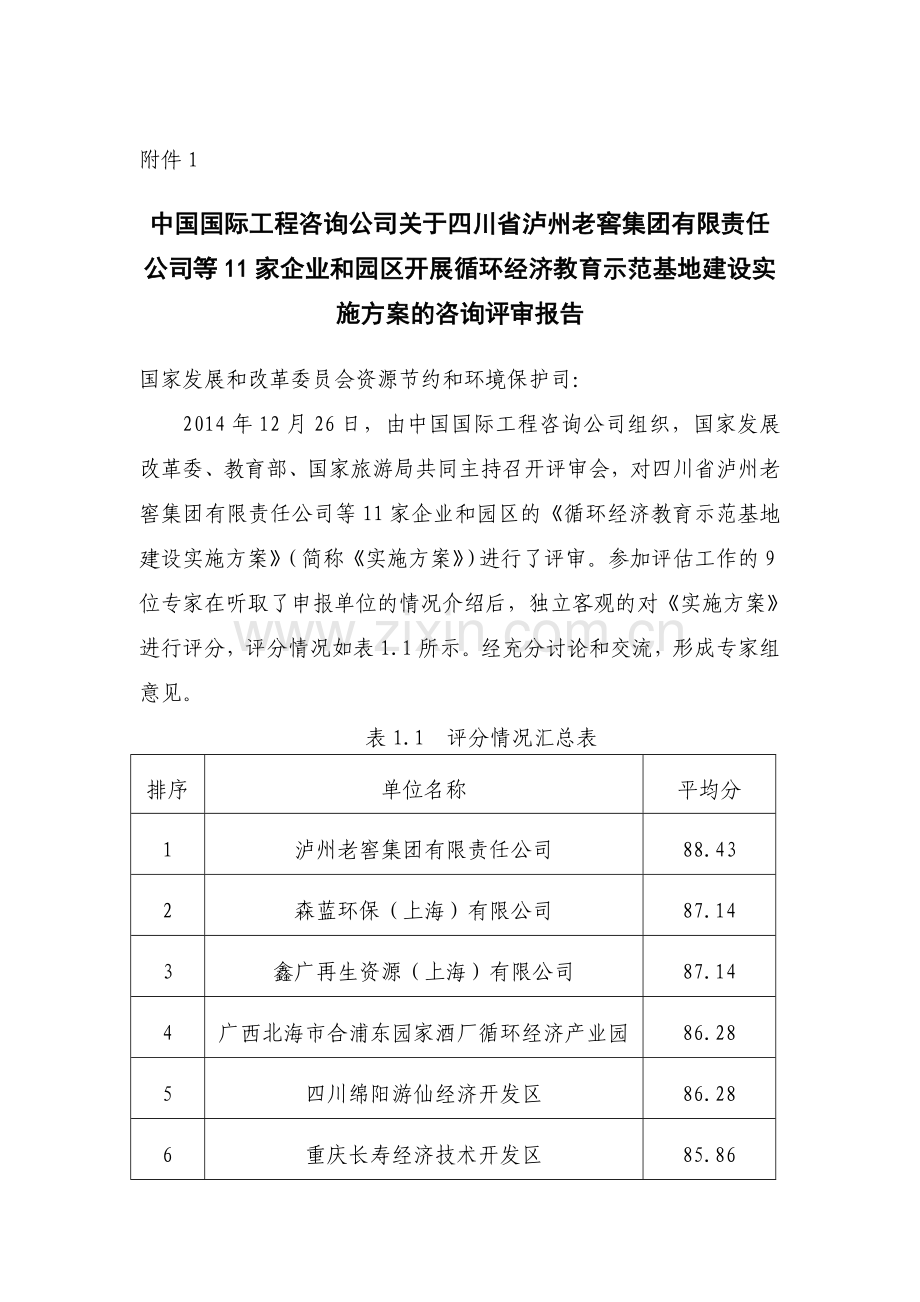 评审报告新版.doc_第1页