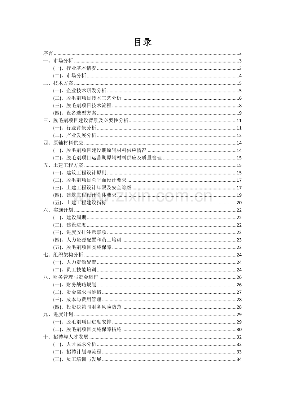2024年脱毛剂项目可行性分析报告.docx_第2页