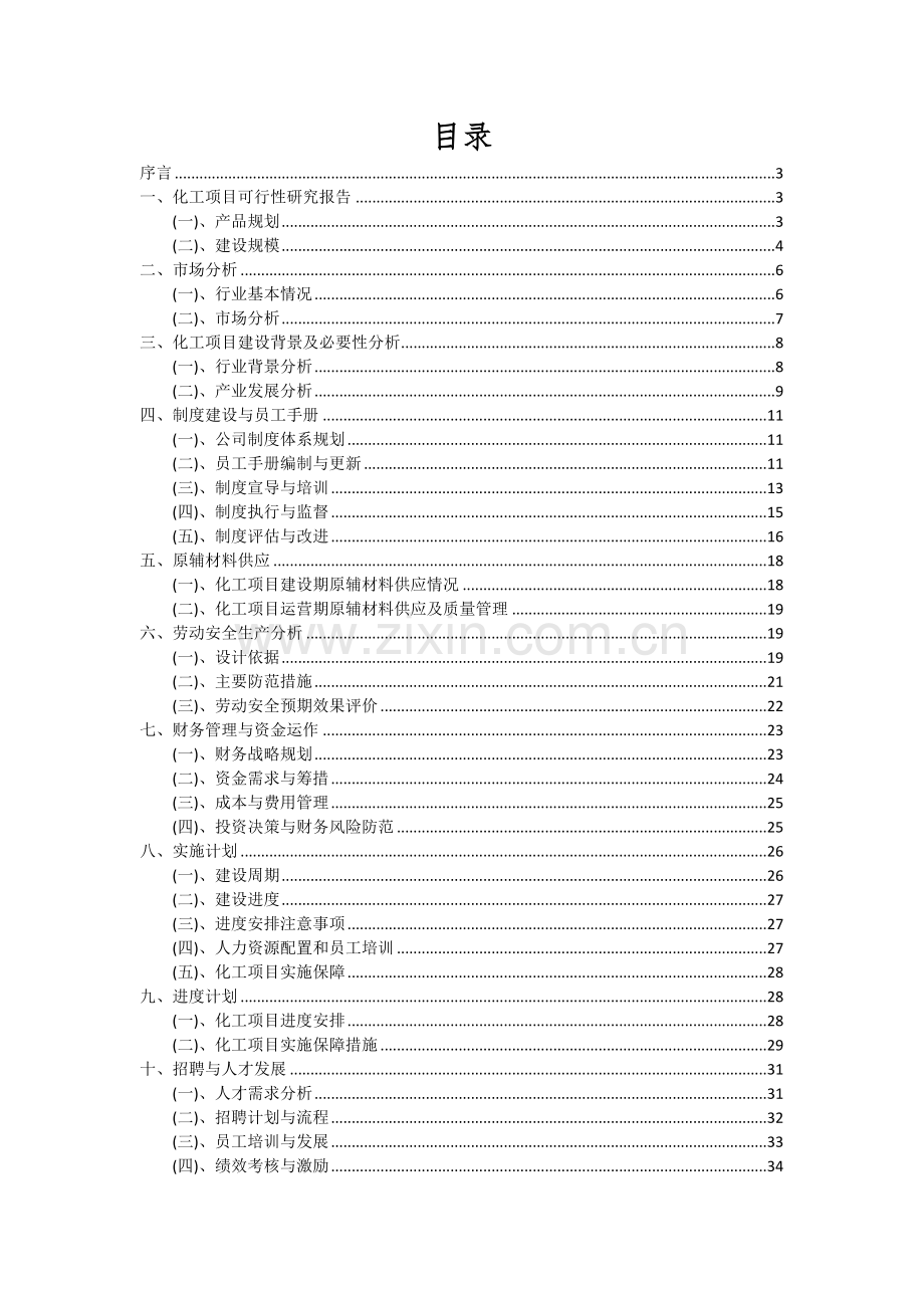 2024年化工项目可行性分析报告.docx_第2页