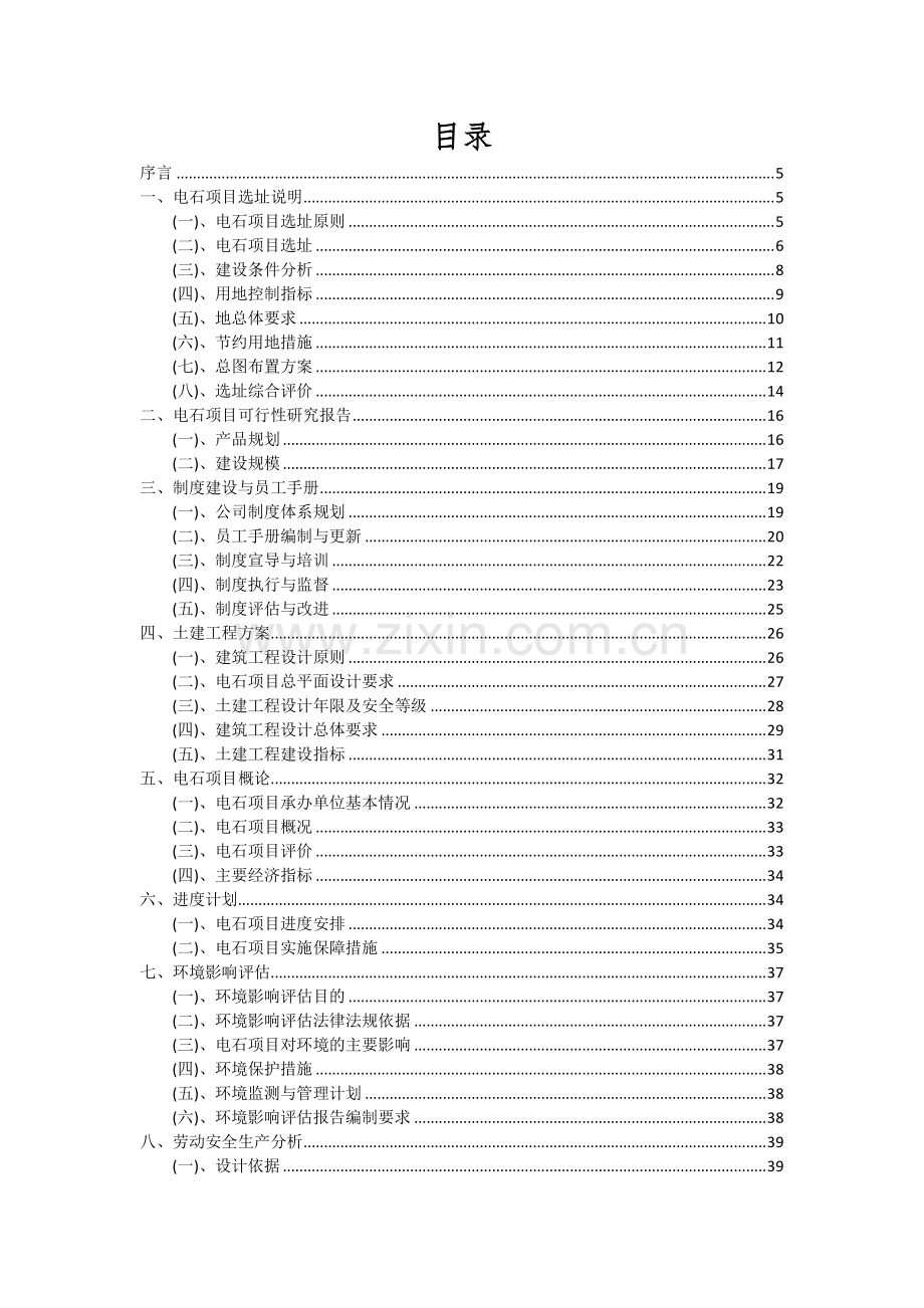 2024年电石项目可行性研究报告.docx_第2页