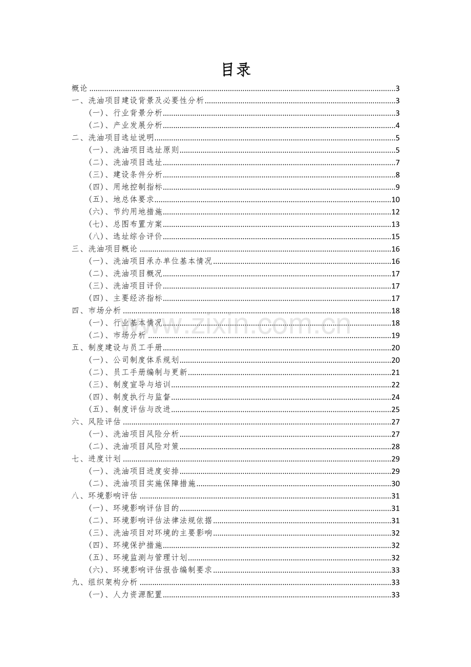 2024年洗油项目可行性分析报告.docx_第2页