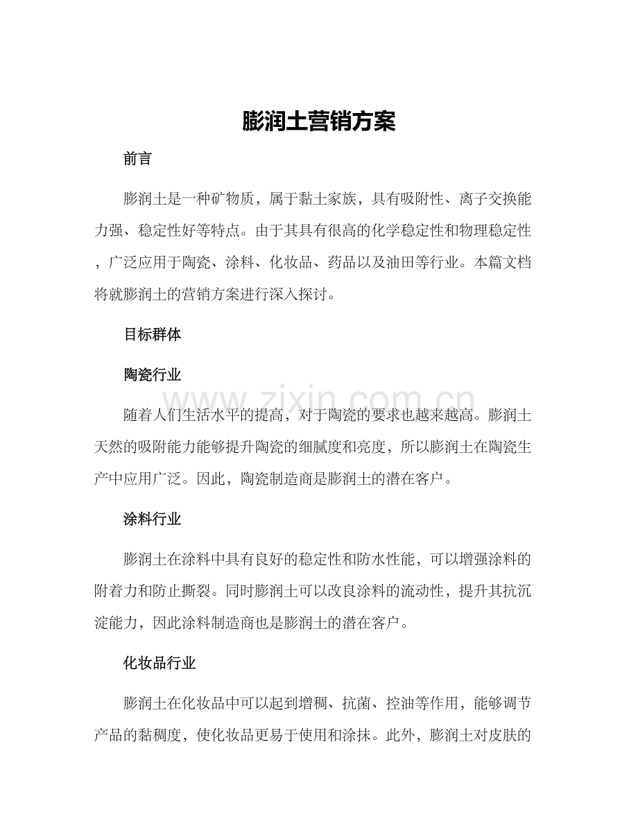 膨润土营销方案.docx_第1页