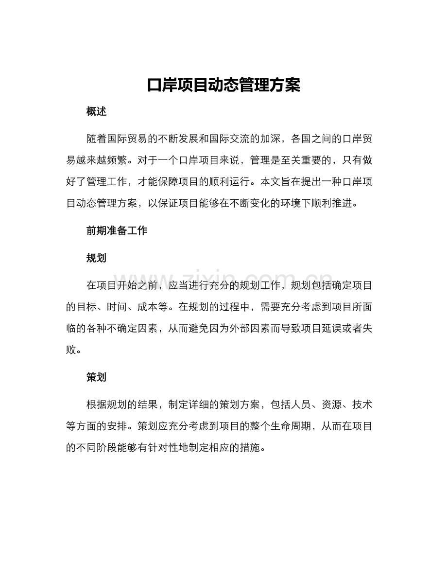 口岸项目动态管理方案.docx_第1页