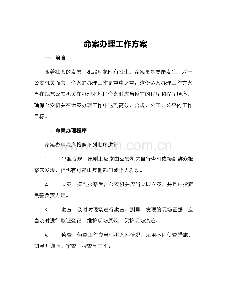 命案办理工作方案.docx_第1页
