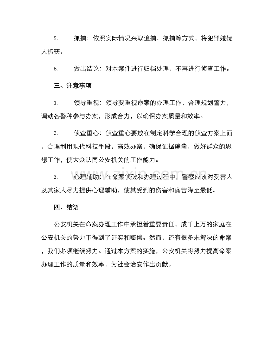 命案办理工作方案.docx_第2页
