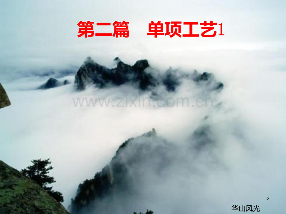离子注入.ppt_第2页