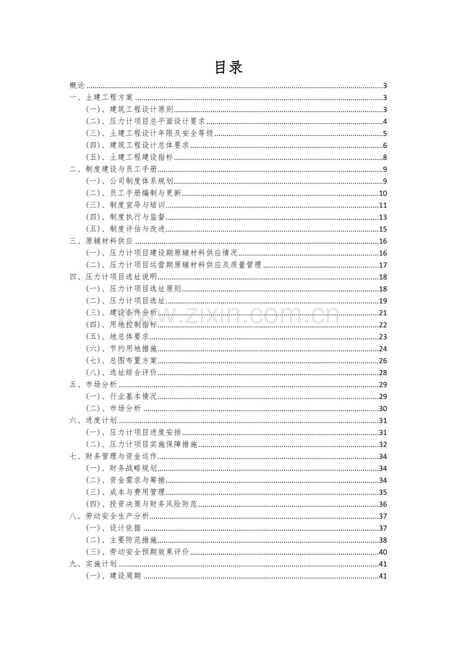 2024年压力计项目深度研究分析报告.docx_第2页