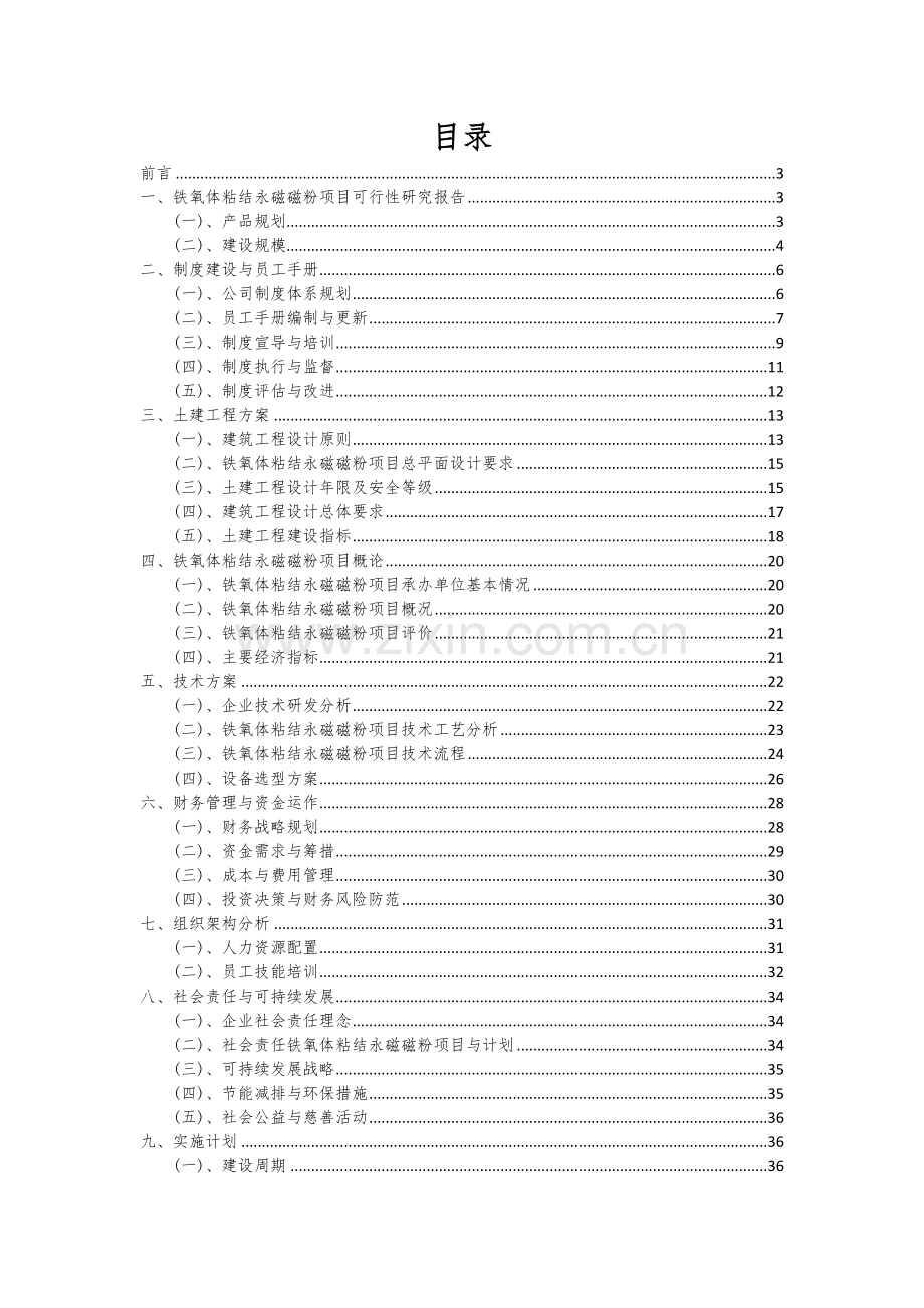 2024年铁氧体粘结永磁磁粉项目可行性研究报告.docx_第2页