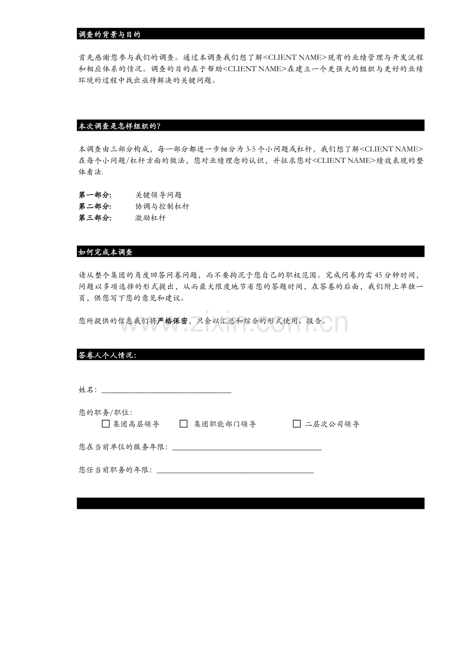 麦肯锡业绩理念调查问卷.doc_第2页