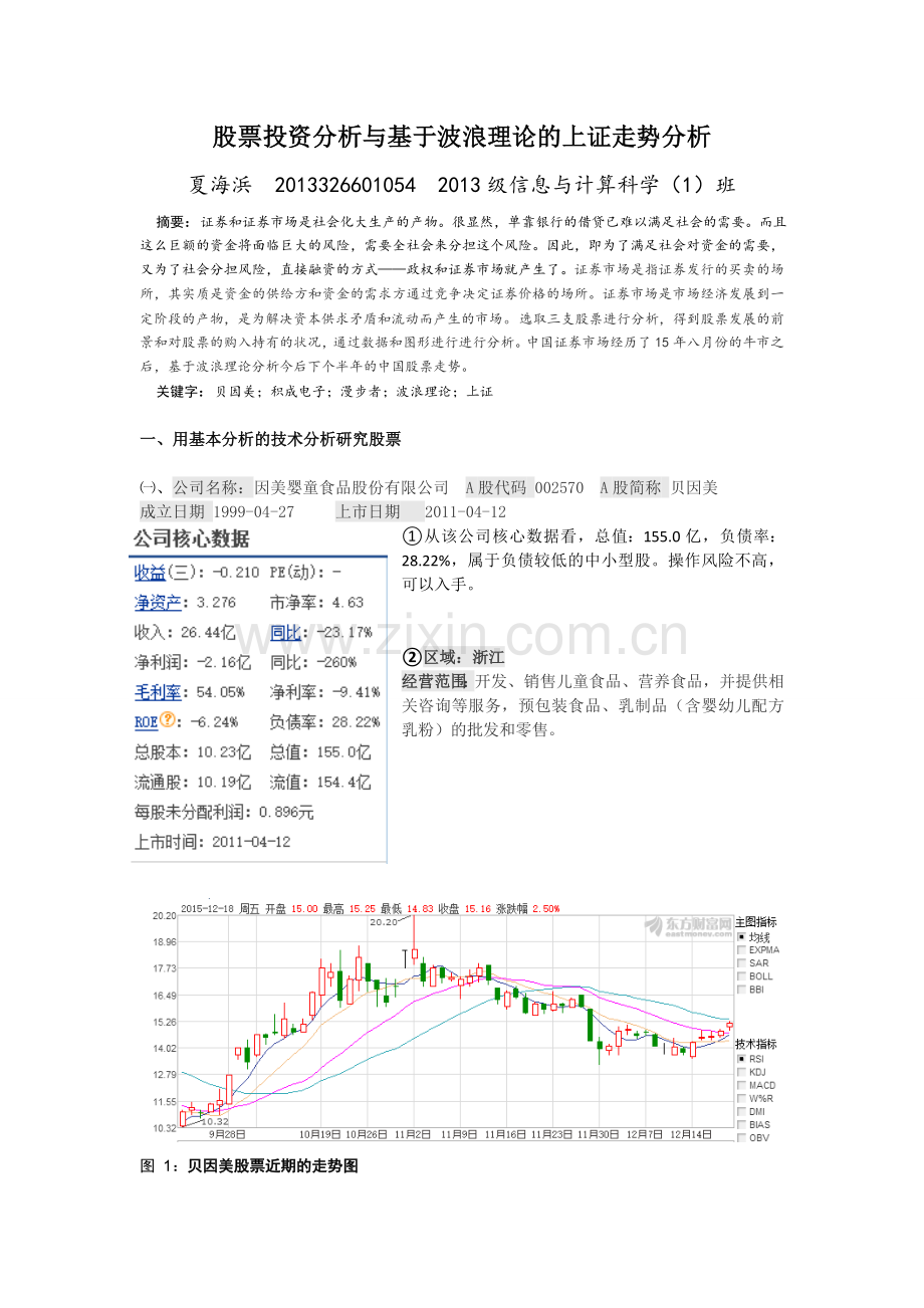 证券投资股票分析及基于波浪理论的上证分析课案.doc_第2页