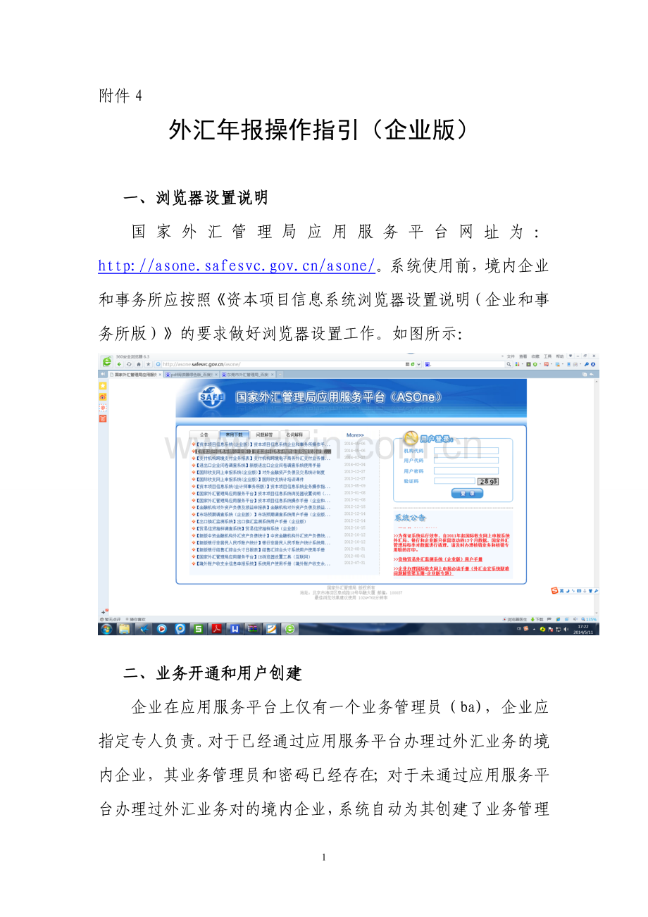 外汇年报操作指引企业版.doc_第1页