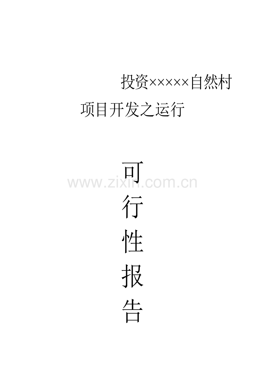 项目开发之可行性研究报告书样本.doc_第1页