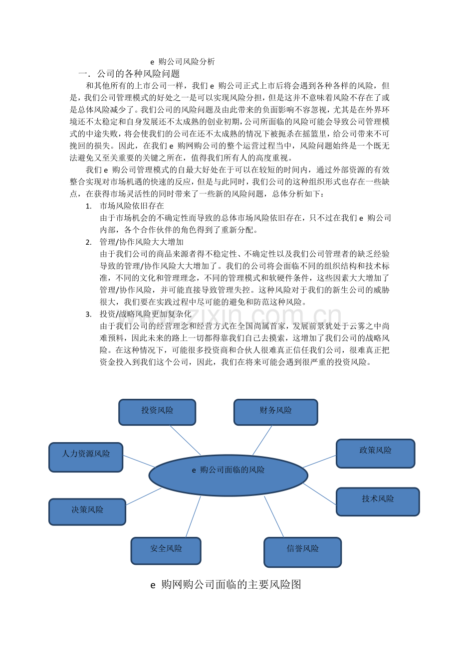 公司风险分析1.docx_第1页