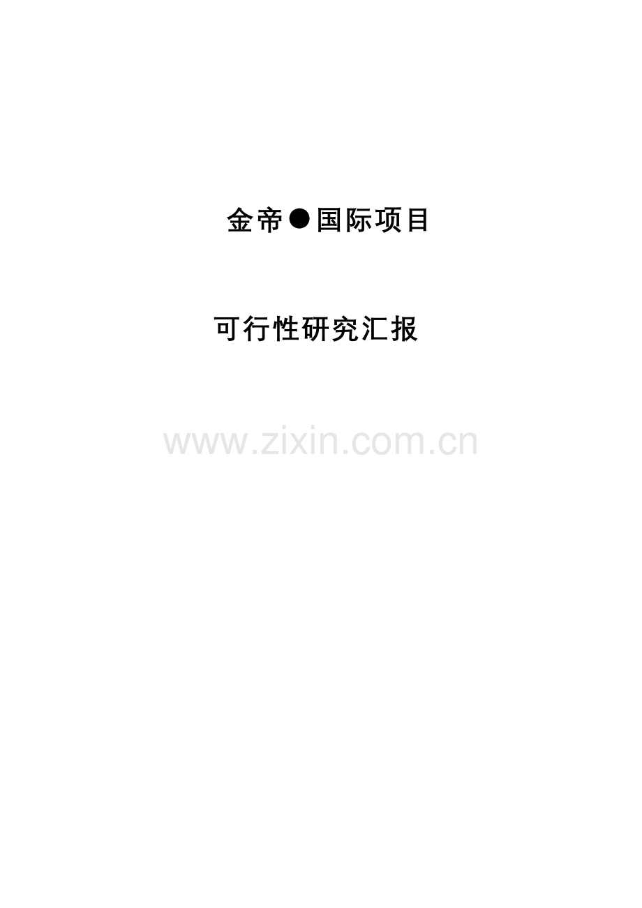 国际项目可行性研究报告样本.doc_第1页