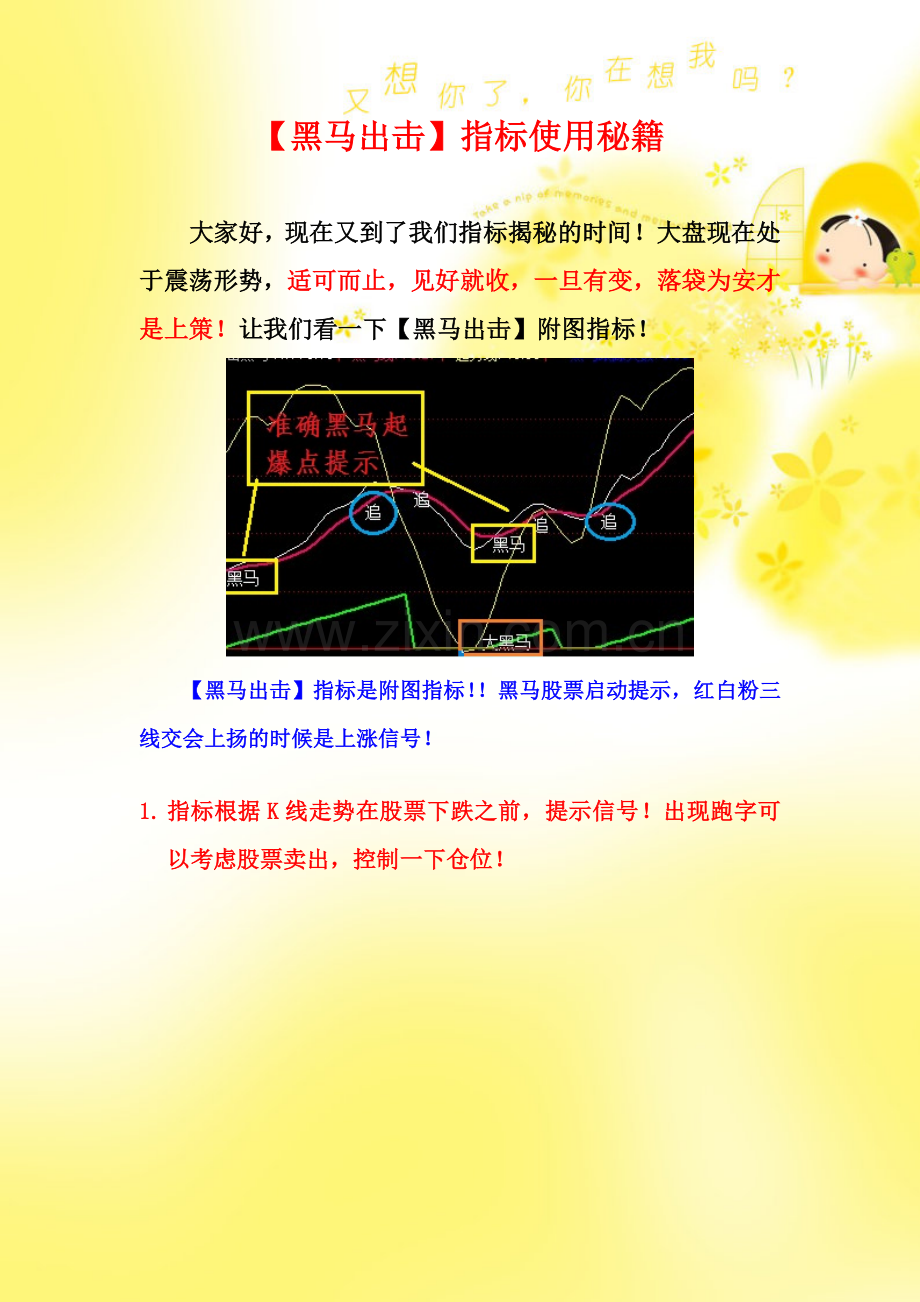 黑马出击指标使用秘籍.doc_第1页