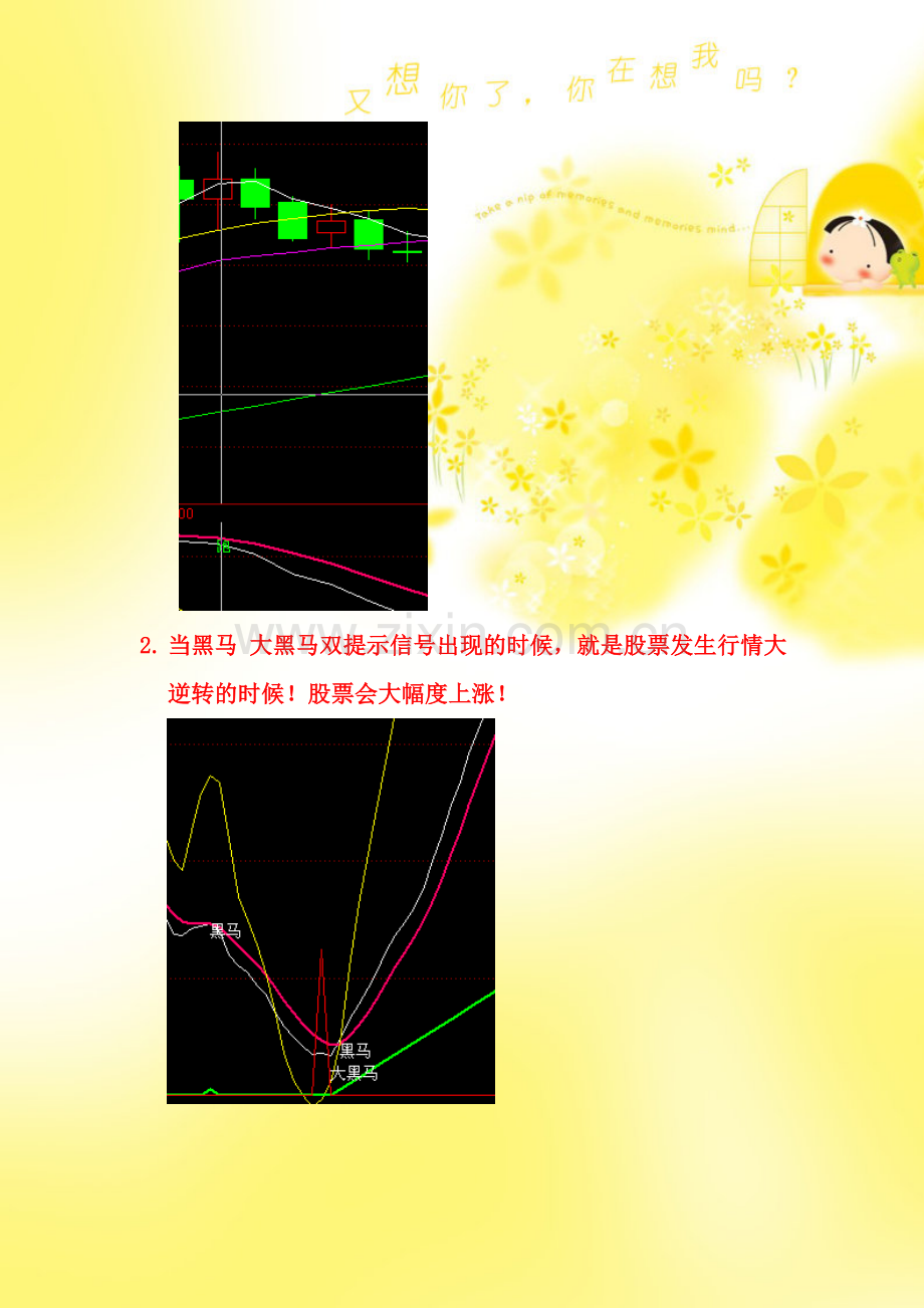 黑马出击指标使用秘籍.doc_第2页