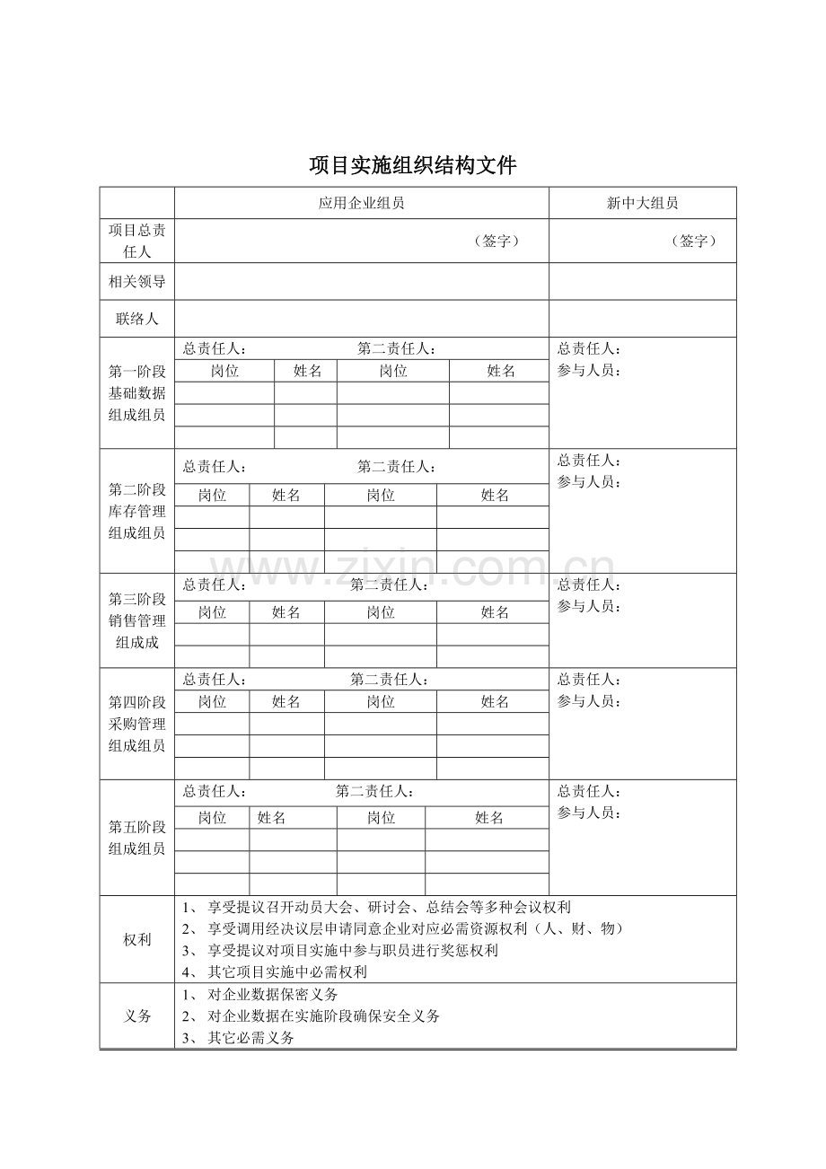 项目实施组织结构表格样本.doc_第1页
