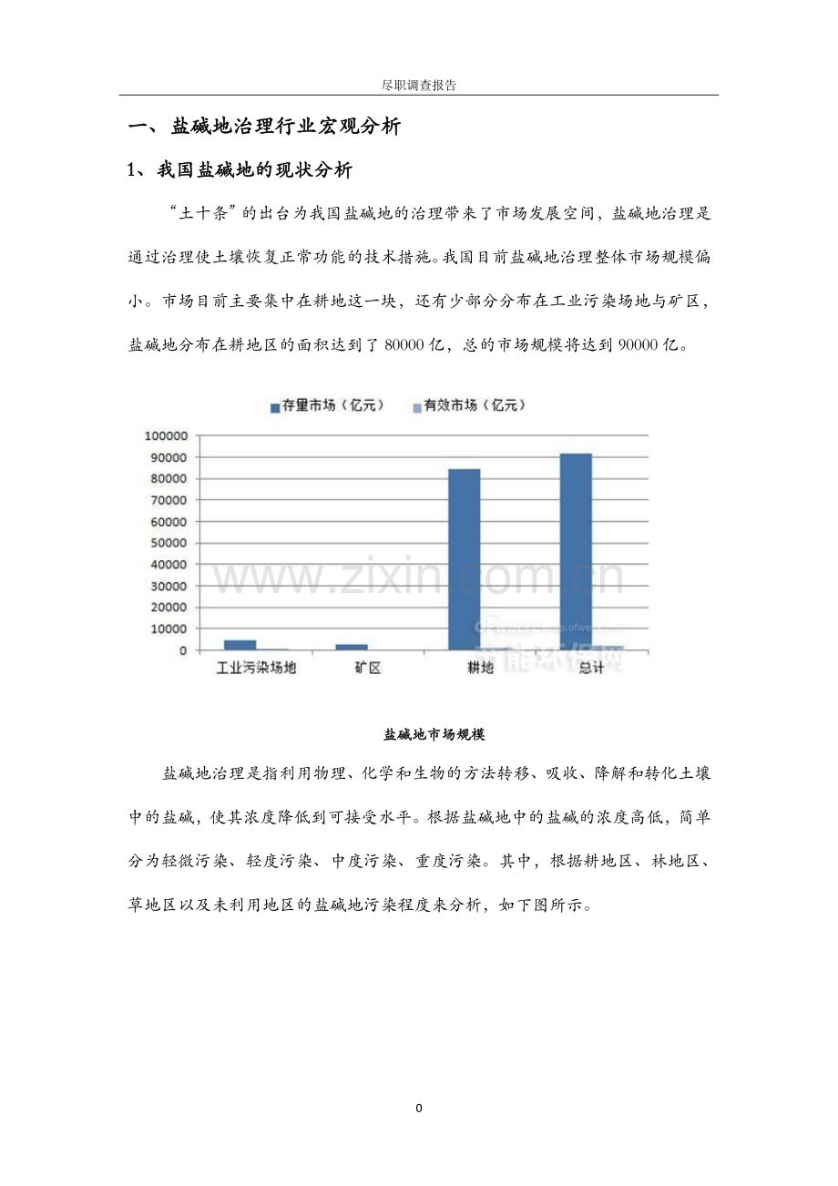 盐碱地治理行业调查报告.doc_第2页