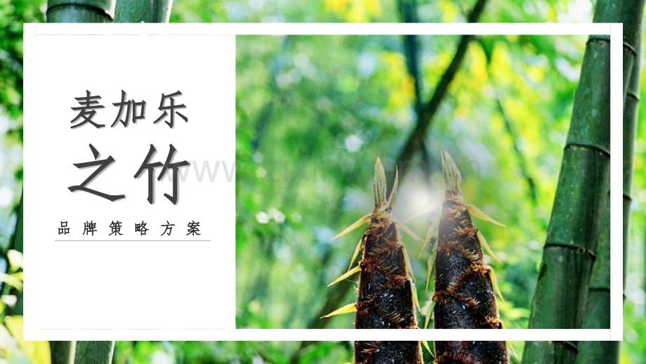 竹笋饼干·之竹品牌策略全案.pdf_第1页