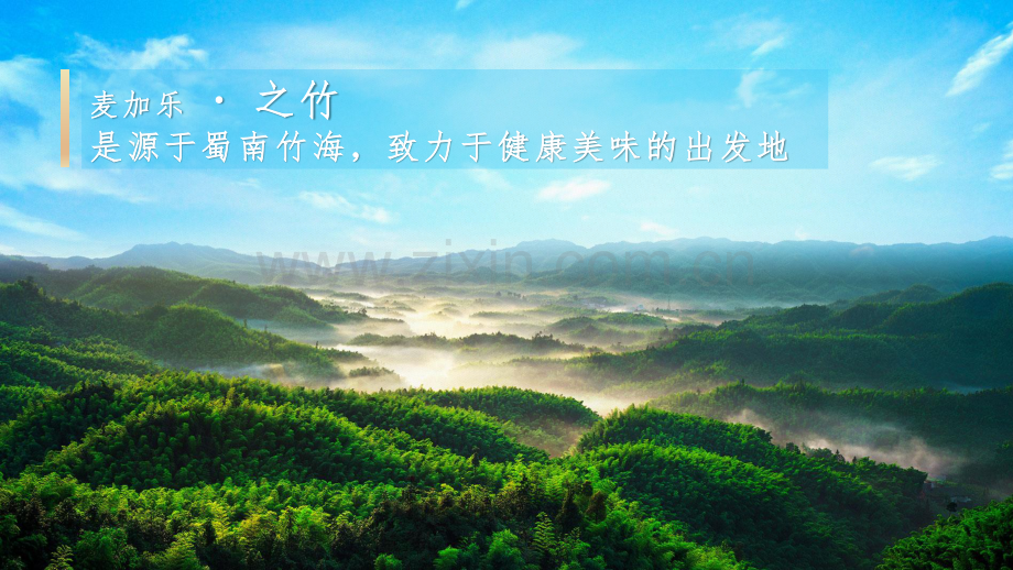 竹笋饼干·之竹品牌策略全案.pdf_第2页