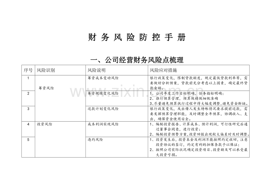 财务风险防控手册范文.doc_第1页