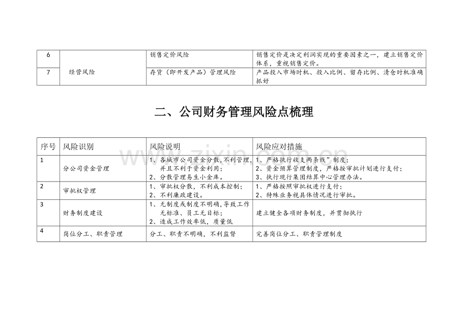 财务风险防控手册范文.doc_第2页