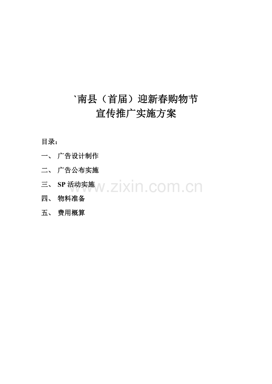 首届南县迎新春购物节宣传推广执行方案样本.doc_第1页