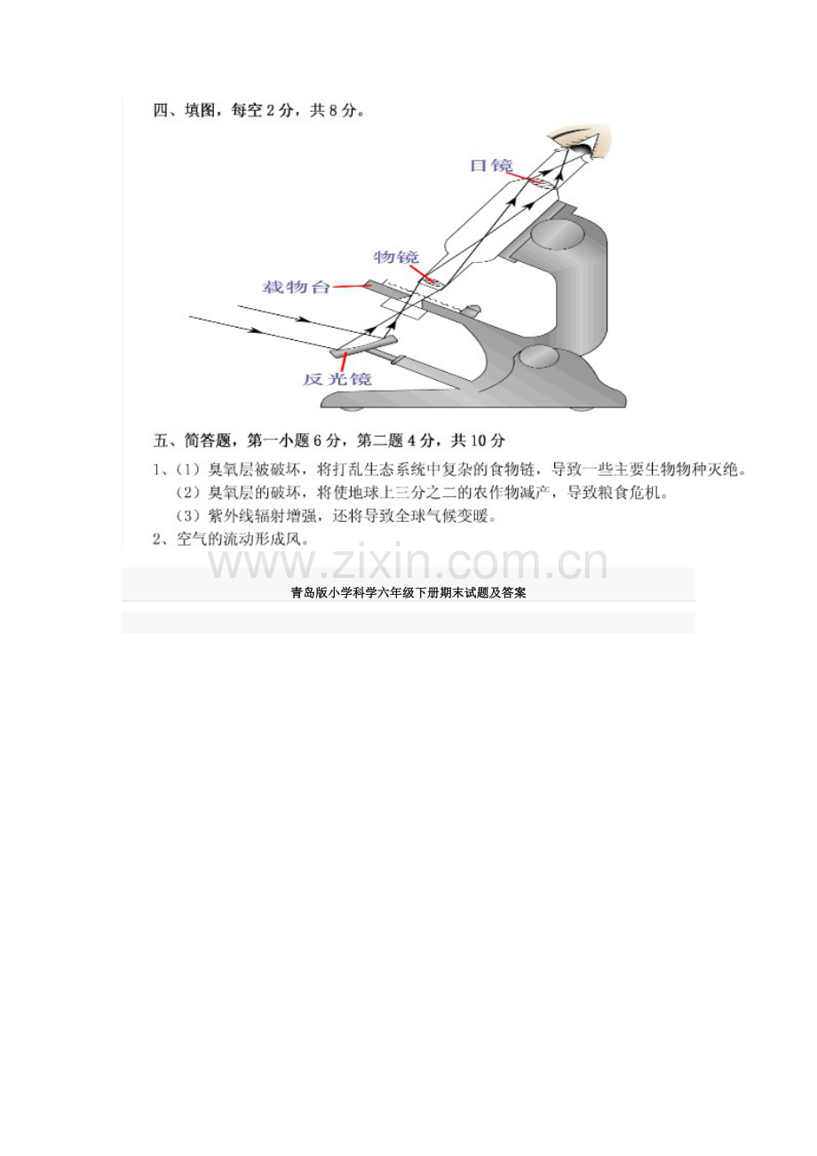 青岛版小学科学六年级下册期末试题及答案.doc_第2页