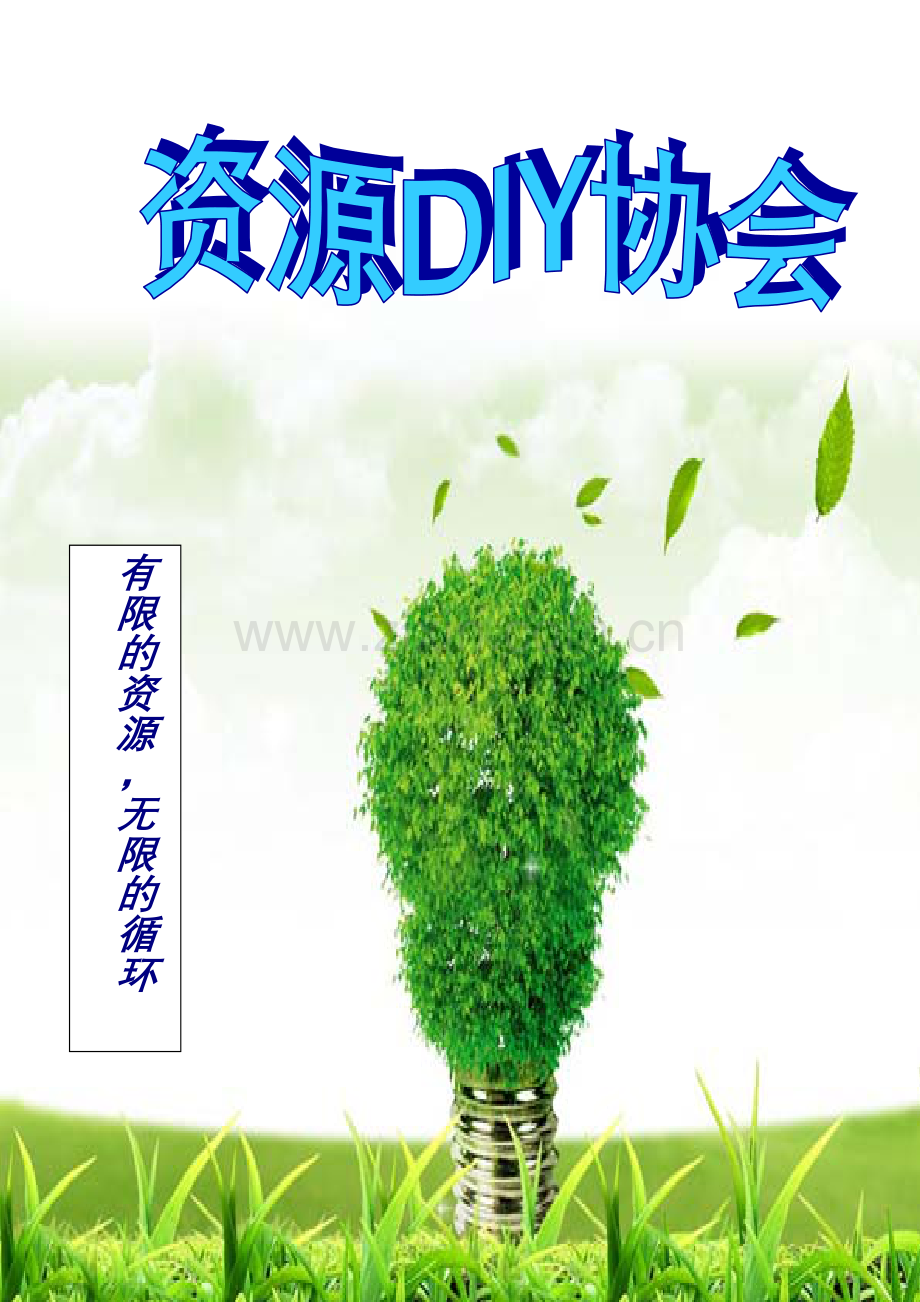 资源DIY协会星级评比材料.doc_第1页