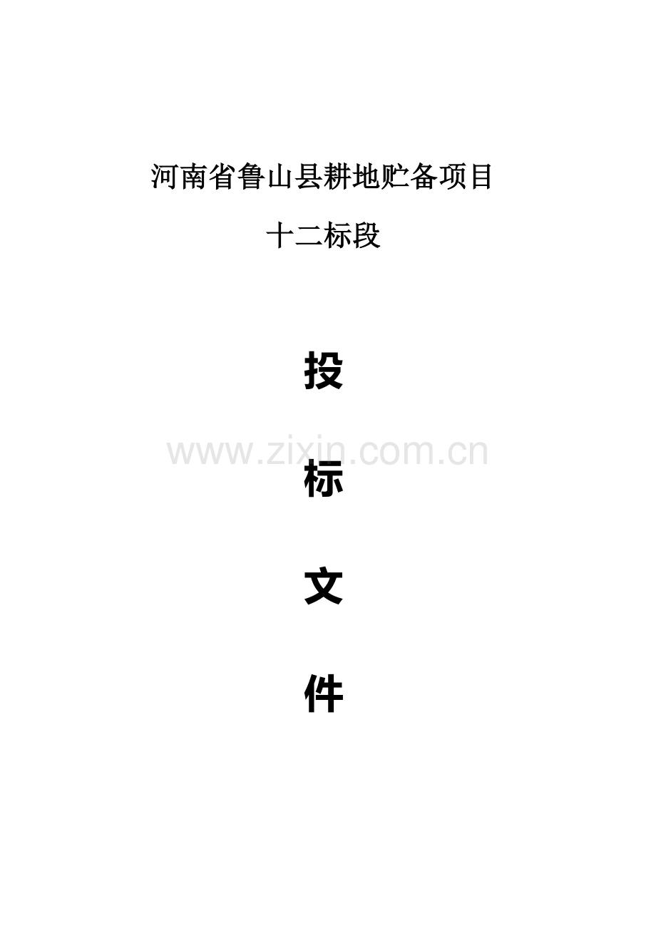 鲁山县耕地储备项目投标书样本.doc_第1页