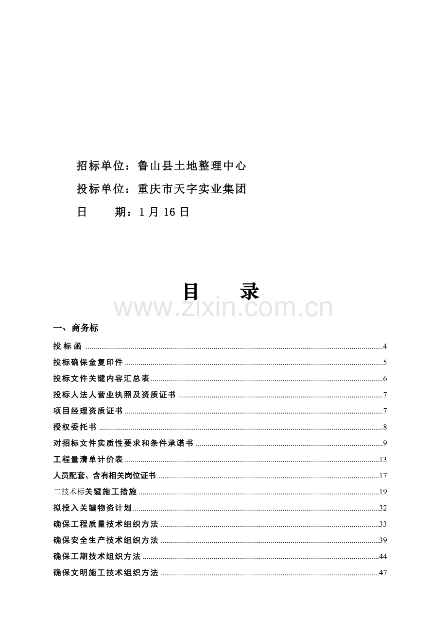 鲁山县耕地储备项目投标书样本.doc_第2页
