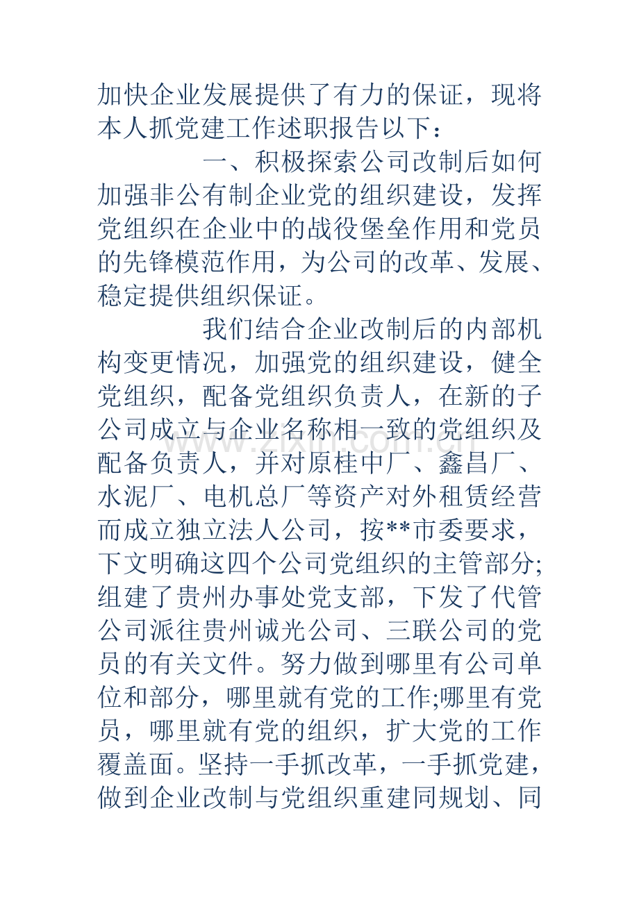国企党委书记述职报告18.doc_第2页