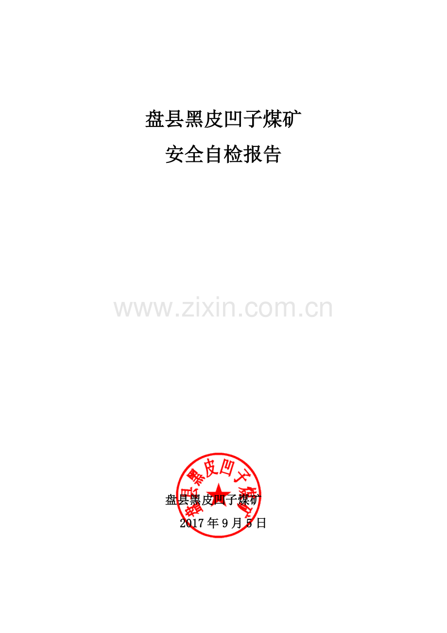 井工煤矿安全自检报告概要.doc_第1页