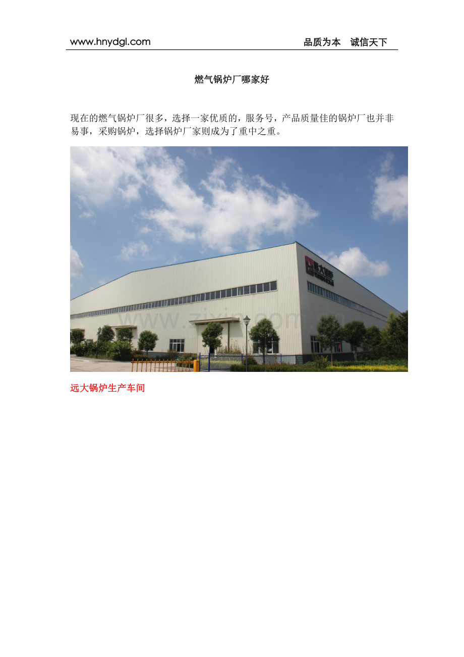 燃气锅炉厂哪家好.docx_第1页