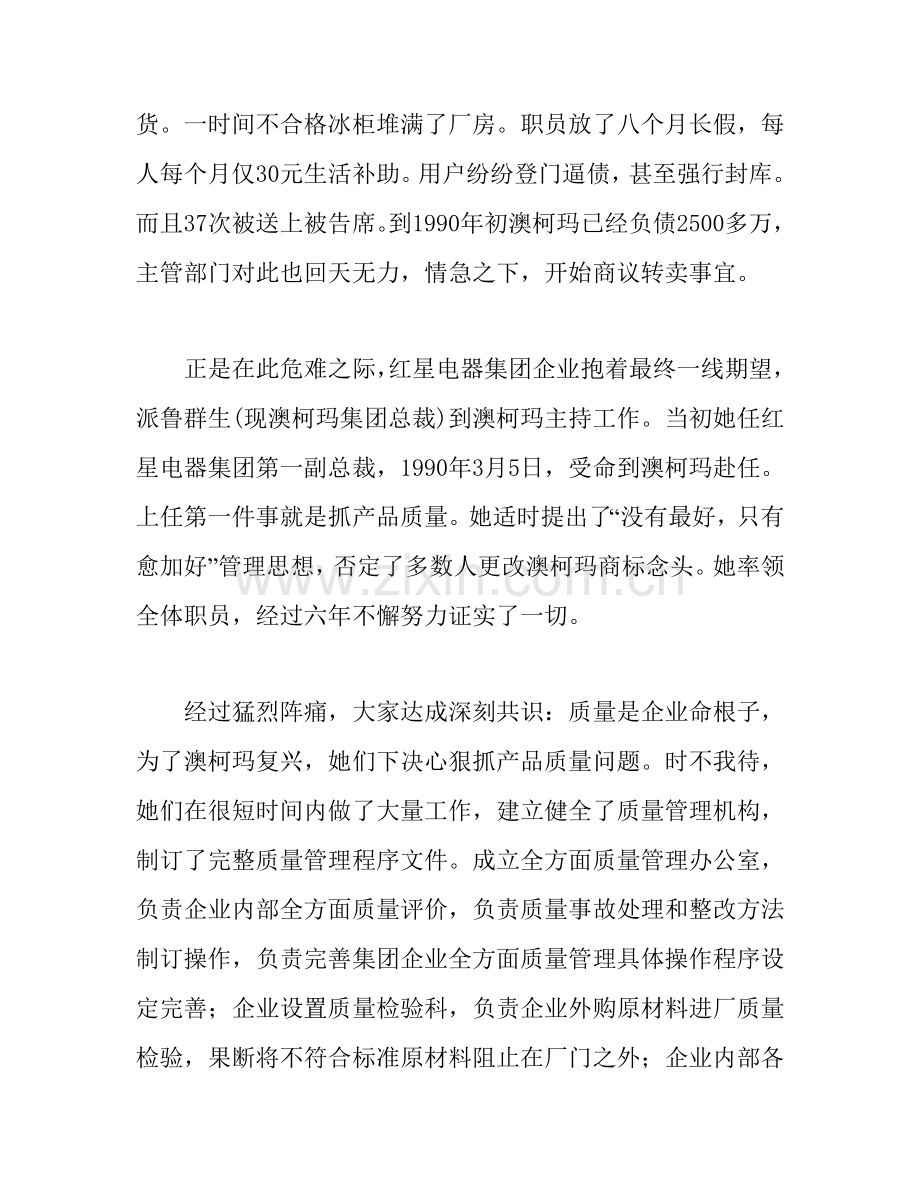 家电集团精神图腾策划方案样本.doc_第2页