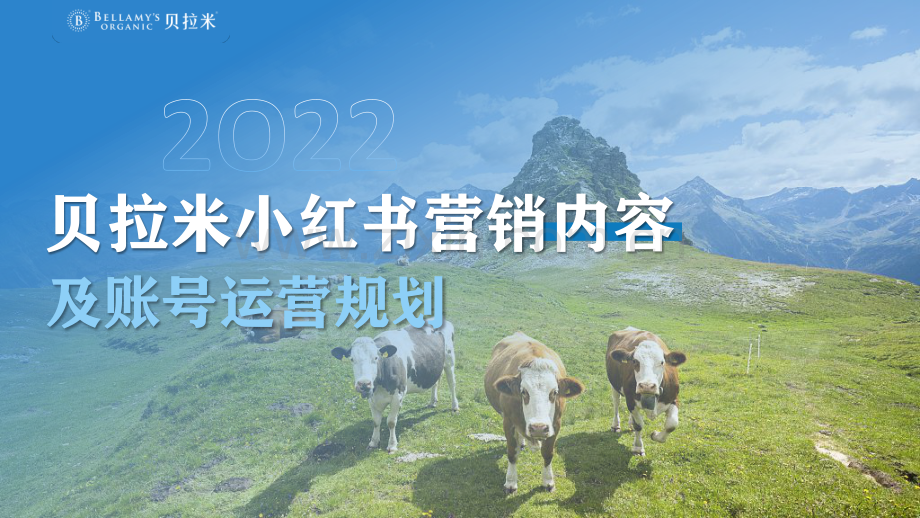 奶粉小红书年度规划方案.pdf_第1页