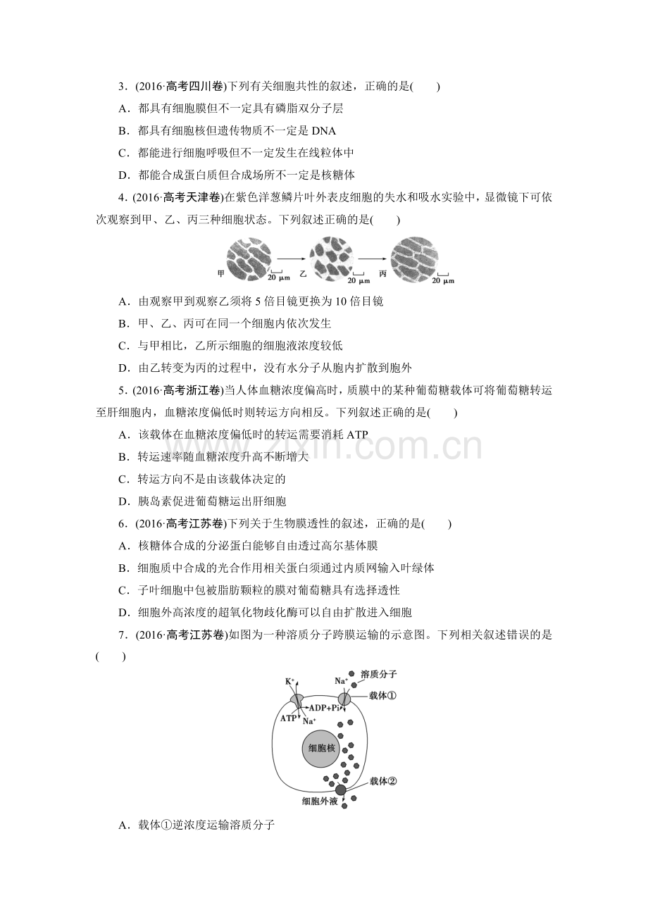 高考生物真题汇编.doc_第2页