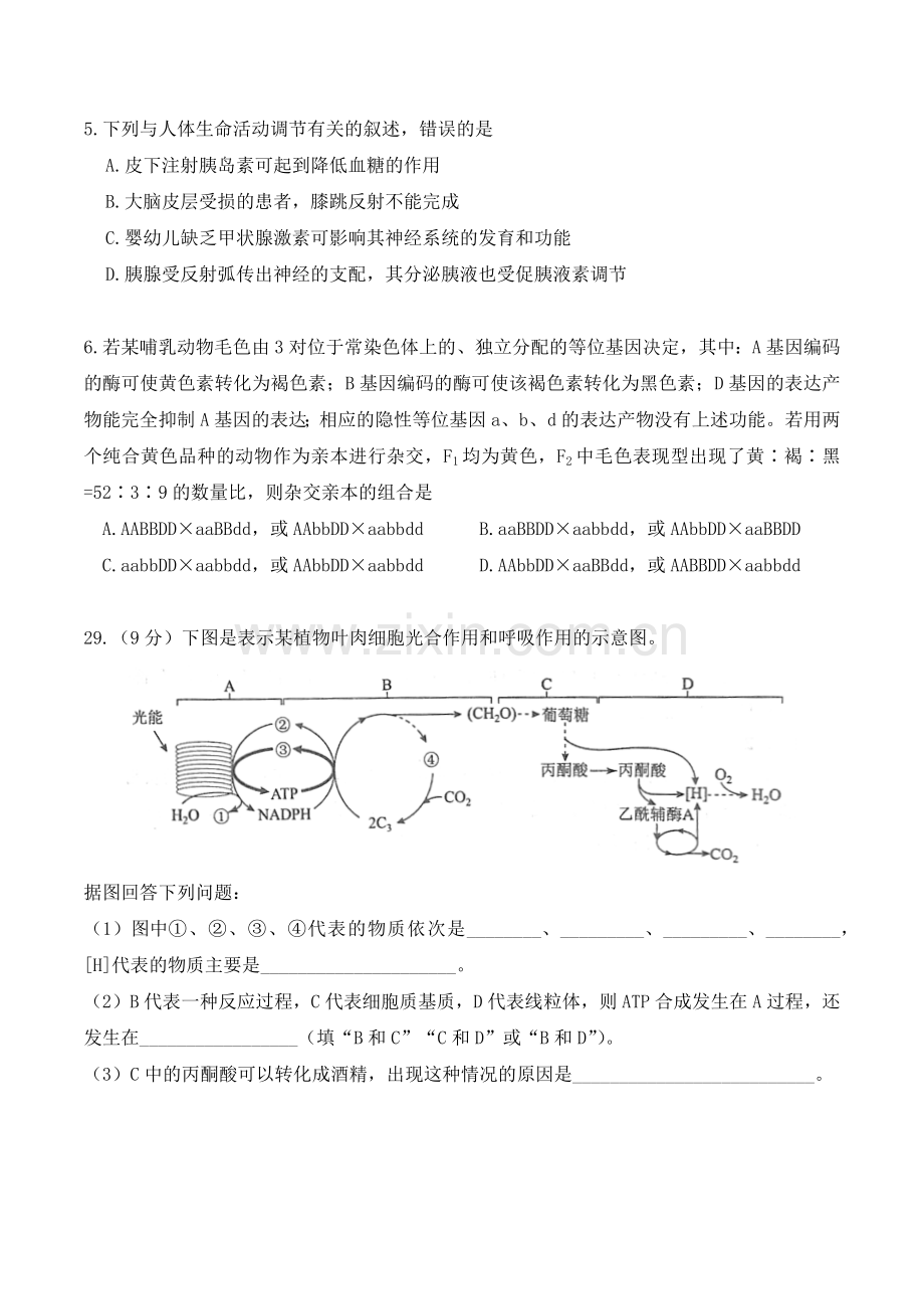高考全国2卷理综生物.docx_第2页