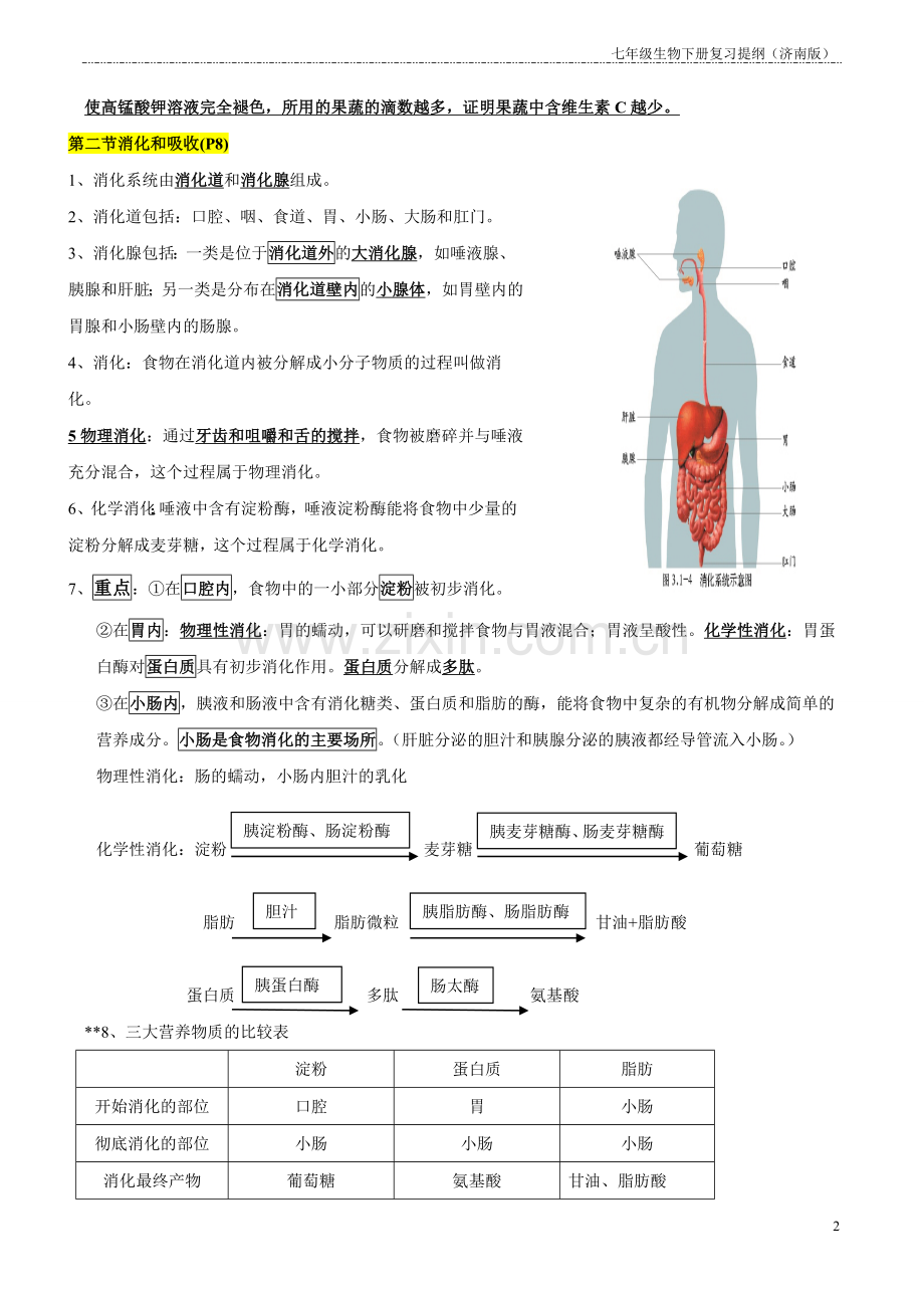七年级生物下册知识点((济南版)50755复习进程.doc_第2页