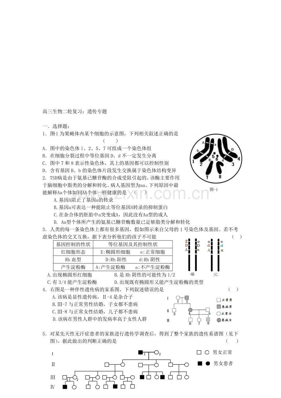 高三生物二轮复习：遗传专题资料.doc_第1页