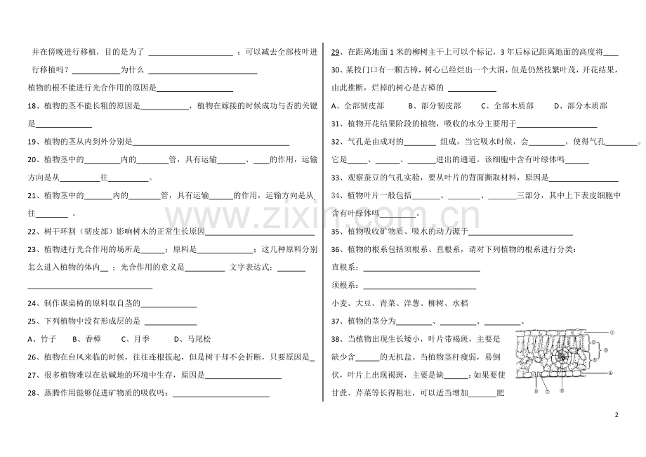 浙教版科学土壤与生物易忘知识点复习学习资料.doc_第2页
